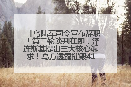 乌陆军司令宣布辞职！第二轮谈判在即，泽连斯基提出三大核心诉求！乌方透露摧毁41架俄战略轰炸机